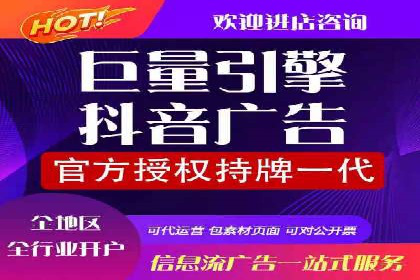 SEM精准广告投放的五大成功案例
